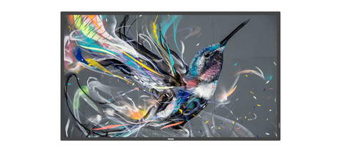 Philips 32BDL3511Q - 32" Categoria diagonale (31.5" visualizzabile) …