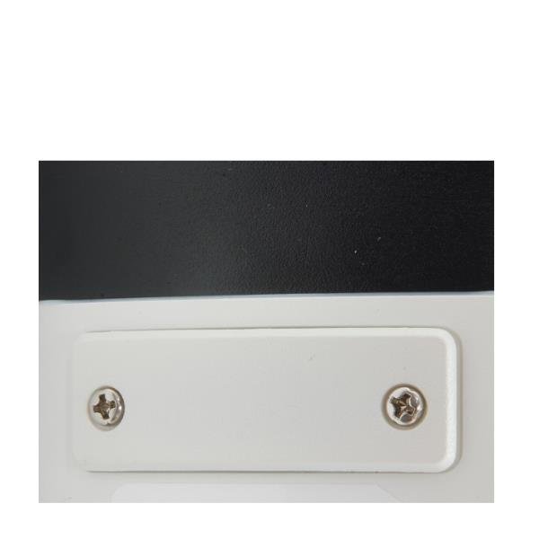 LevelOne FCS-5092 - Telecamera di sorveglianza connessa in …