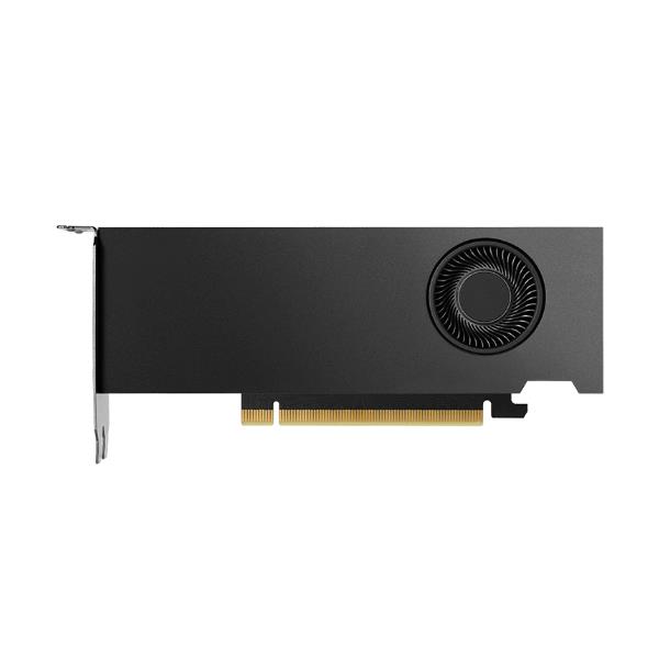 NVIDIA RTX 4000 SFF Ada Generation - Scheda …