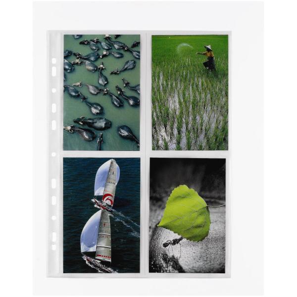 BUSTE PORTAFOTO SPECIAL PP 22 5X31 5 CON …