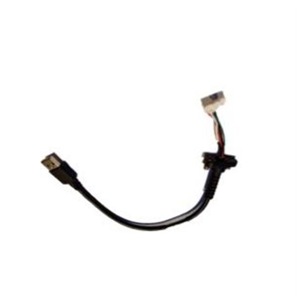 Zebra - Cavo tastiera - USB (M) - …