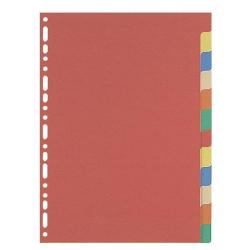 ARCHIVIO ACCESSORI - 100204882