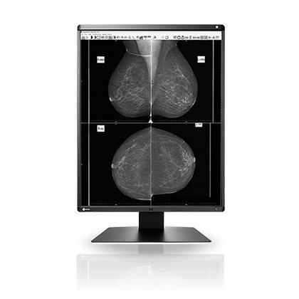 EIZO RadiForce GX560 - Monitor a LED - …