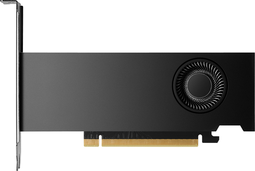 NVIDIA RTX 2000 Ada - Scheda grafica - …