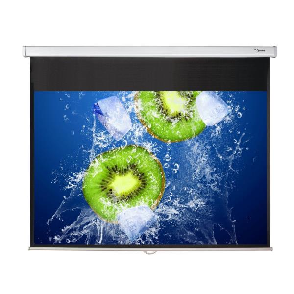 Optoma DS-1095PMG+