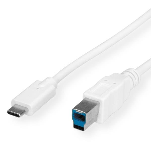 NILOX TECH - Cavo di collegamento USB-B 3.0USB-C …