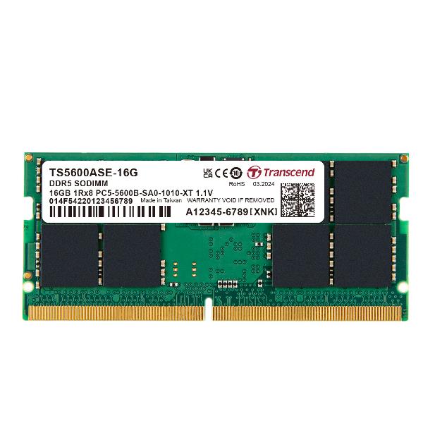 Transcend - DDR5 - modulo - 16 GB …