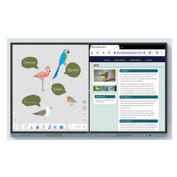 BenQ RM7504, 190,5 cm (75ʺ), 1649,7 x 927,9 …