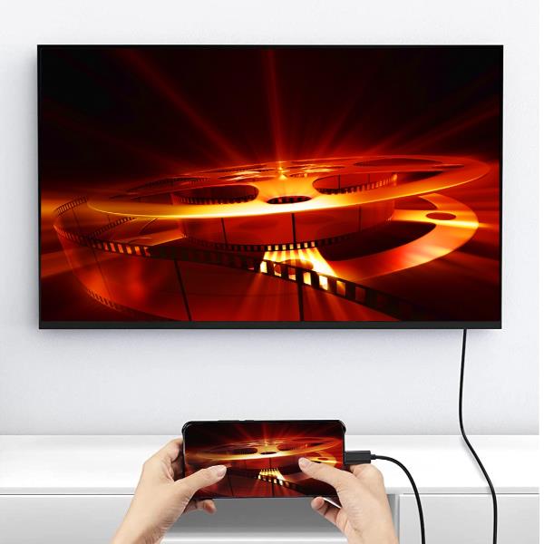 EQUIP CAVO ADATTATORE DA USB-C MASCHIO A DISPLAYPORT …