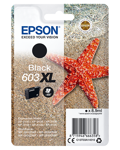 Epson - Cartuccia ink - 603XL - nero …