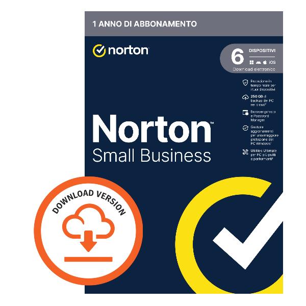 NORTON NSB-250GB 6 DEV 12M ESD