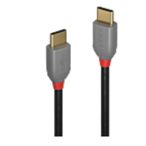 Lindy Anthra Line - Cavo USB - 24 …