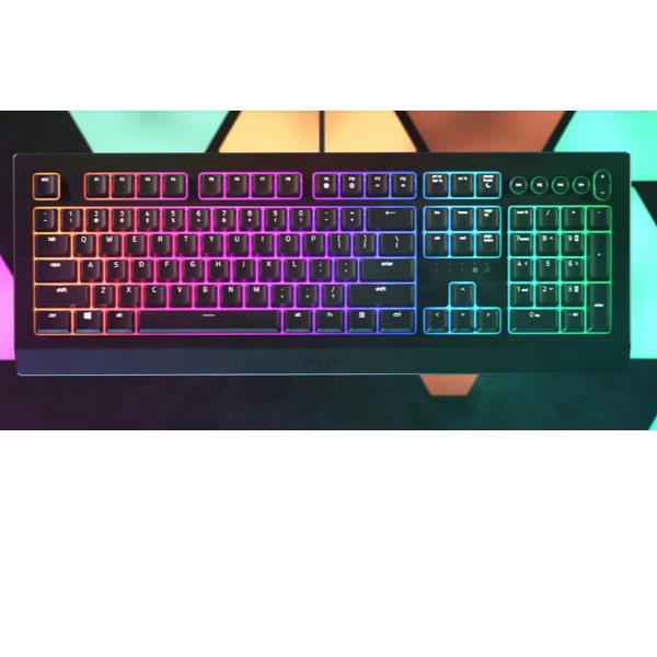Razer Cynosa V2 - Tastiera - retroilluminato - …
