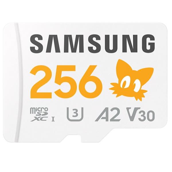 Samsung micro SD XC 256 GB
