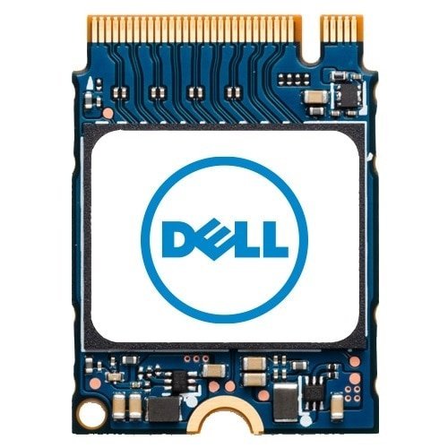 DELL AC280178 drives allo stato solido 512 GB …
