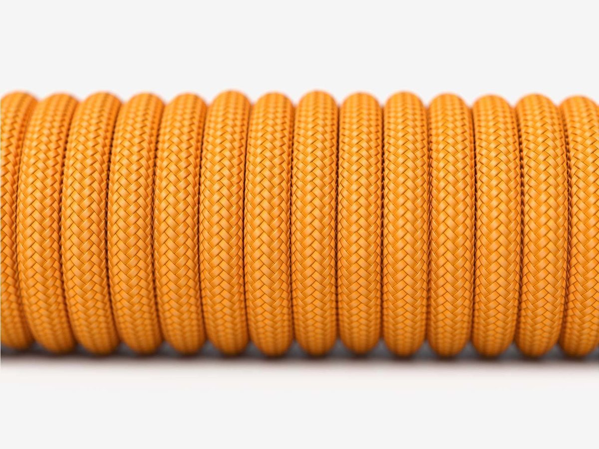Glorious PC Gaming Race Ascended Cable V2 - …