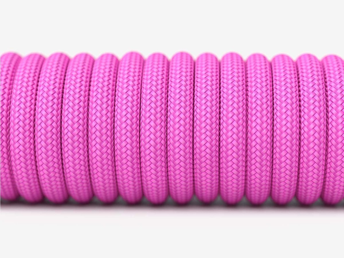 Glorious PC Gaming Race Ascended Cable V2 - …