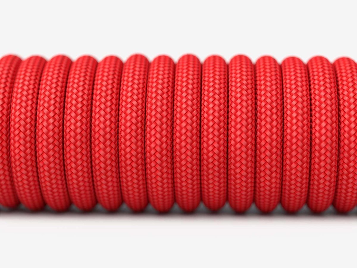 Glorious PC Gaming Race Ascended Cable V2 - …