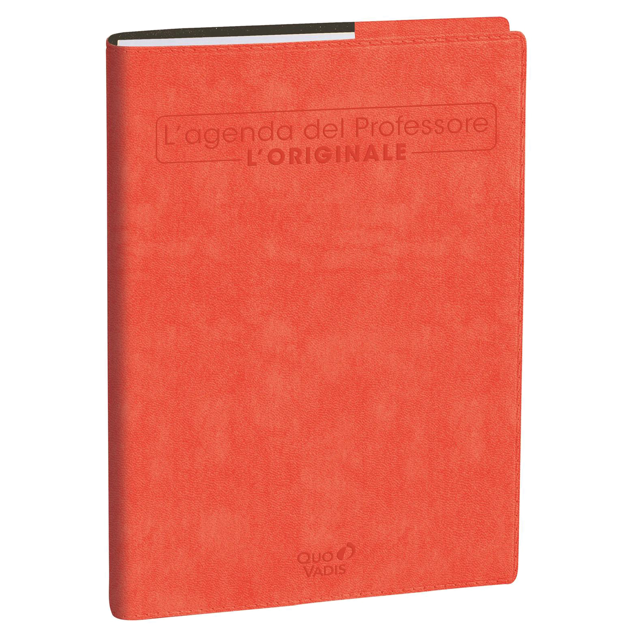 Agenda del Professore 21x27cm Roma rosa corallo 2027 …
