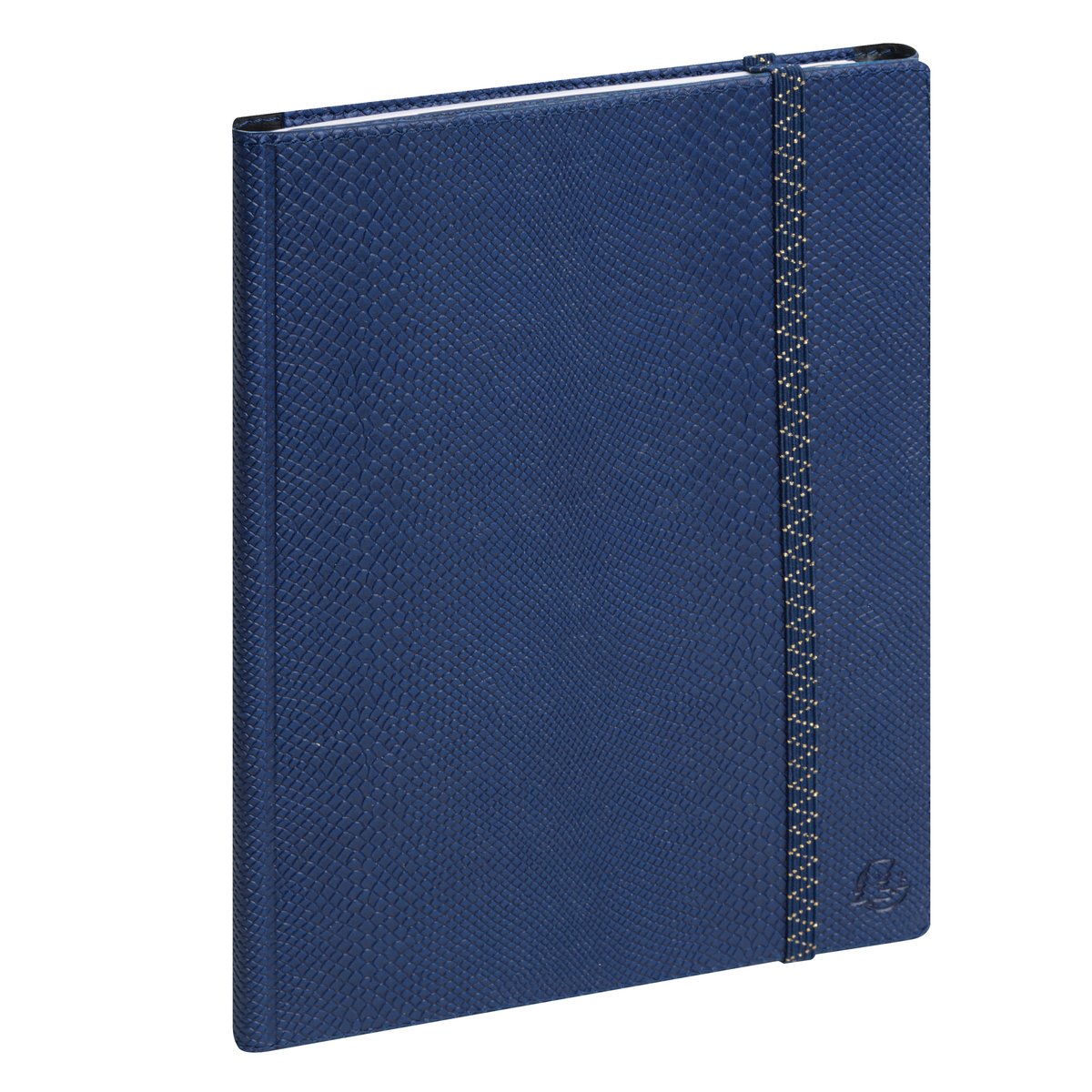 Agenda All-in-One 16 mesi 15x21cm Exaweek blu navy …