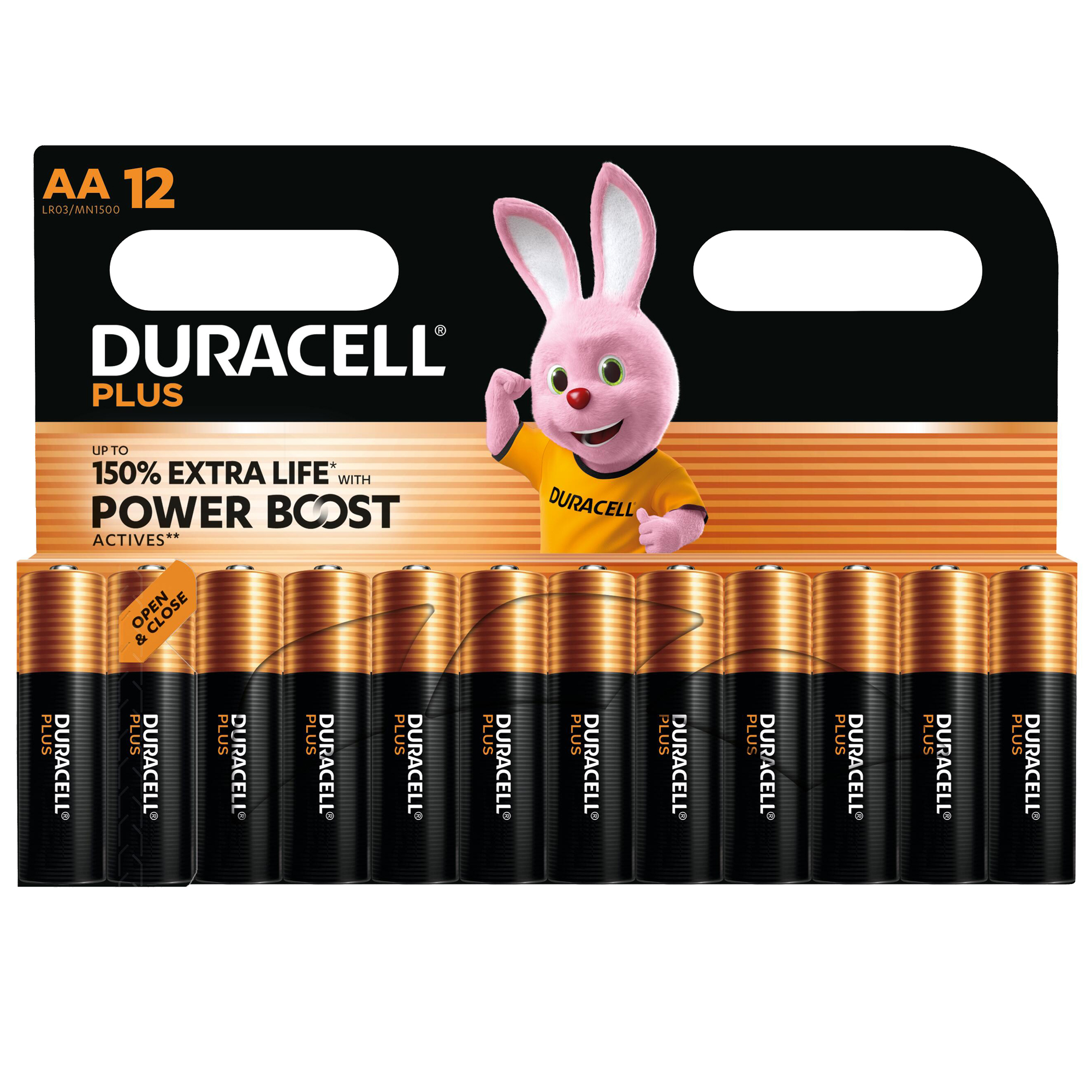 Duracell PLUS POWERBOOST STILO AA CONF.12