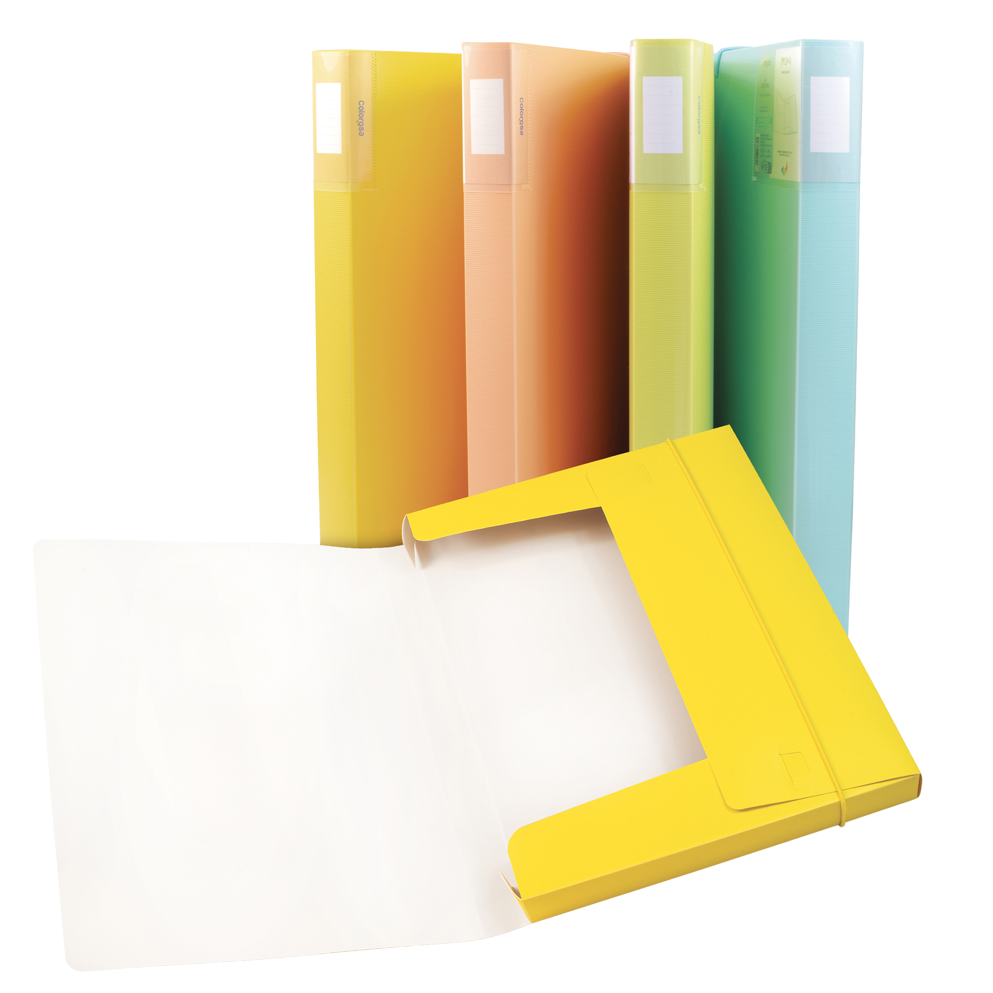 Cartella 3 lembi con elastico Spring - A4 …