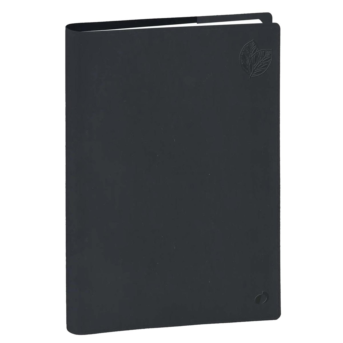 Agenda settimanale Ministro 16X24cm Eco Eunoia grigio 2027 …