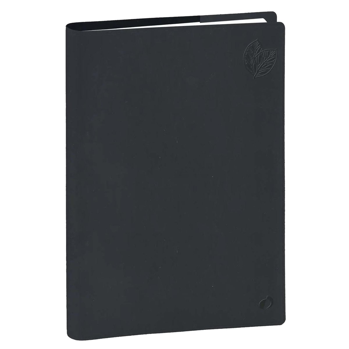 Agenda settimanale Rigiro 9x12,5cm Eco Eunoia 2027 grigio …