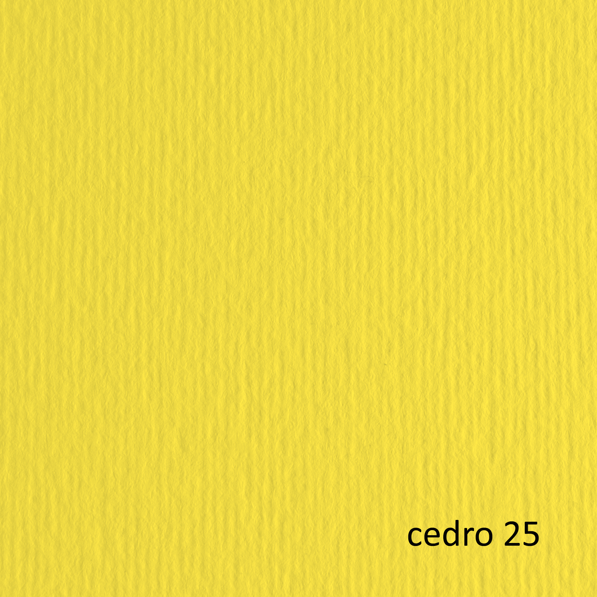 Fabriano Elle Erre - Cartoncino - 700 x 1000 mm - 10 fogli - cedro - 220 g/m² - cartone