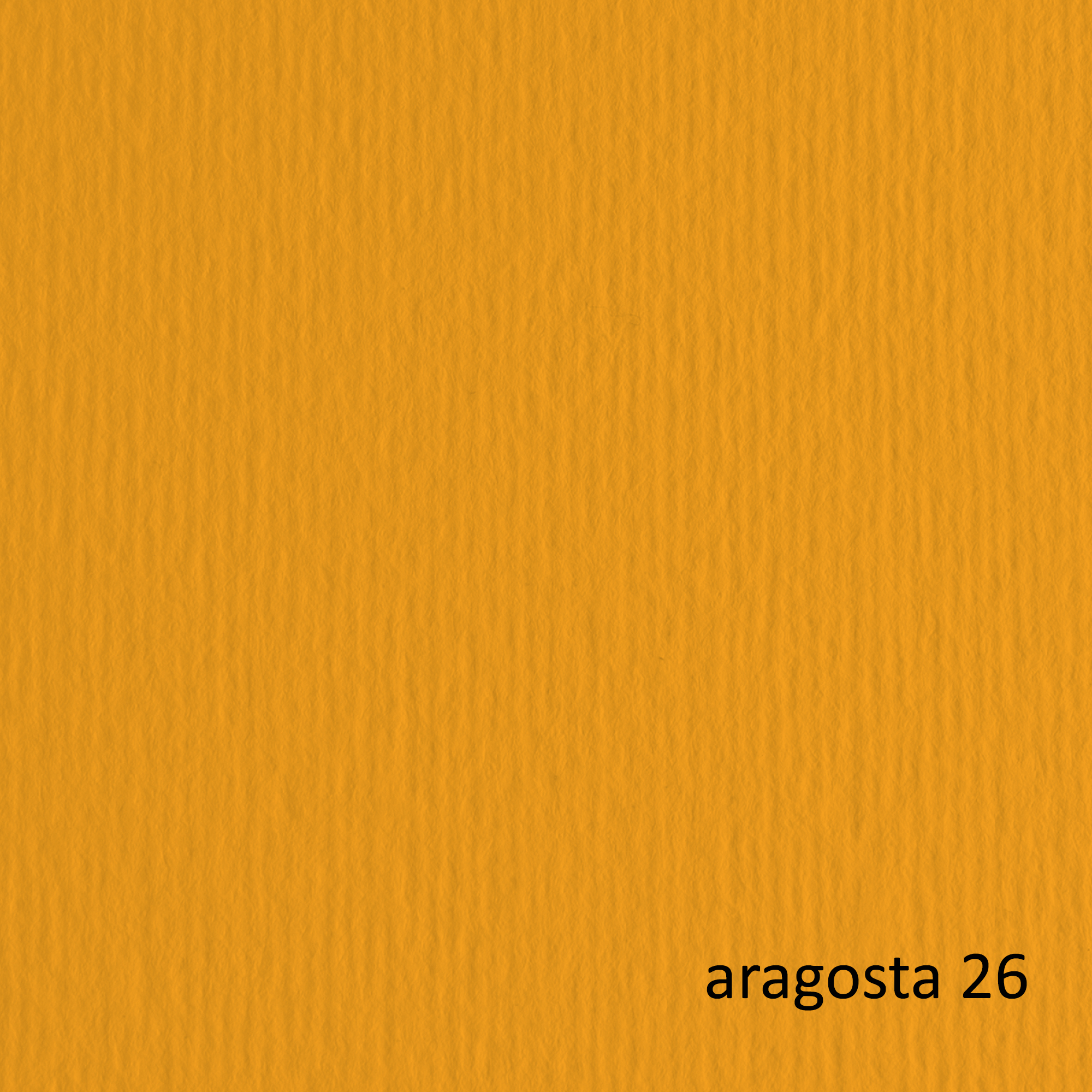 Cartoncino Elle Erre - 70 x 100 cm - 220 gr - aragosta 126 - Fabriano - blister 10 fogli