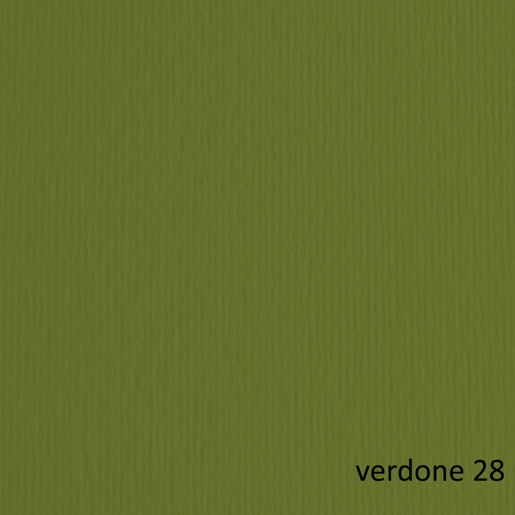 Cartoncino Elle Erre - 50 x 70 cm - 220 gr - verdone 28 - Fabriano - blister 20 fogli
