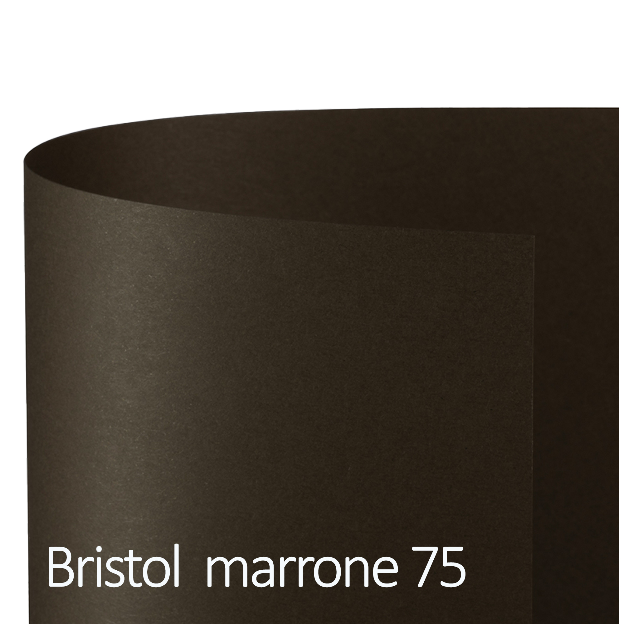 Favini Bristol Color 200 Sigillo T1 75 - Cartoncino - 700 x 1000 mm - 10 fogli - marrone - 200 g/m² - cartone