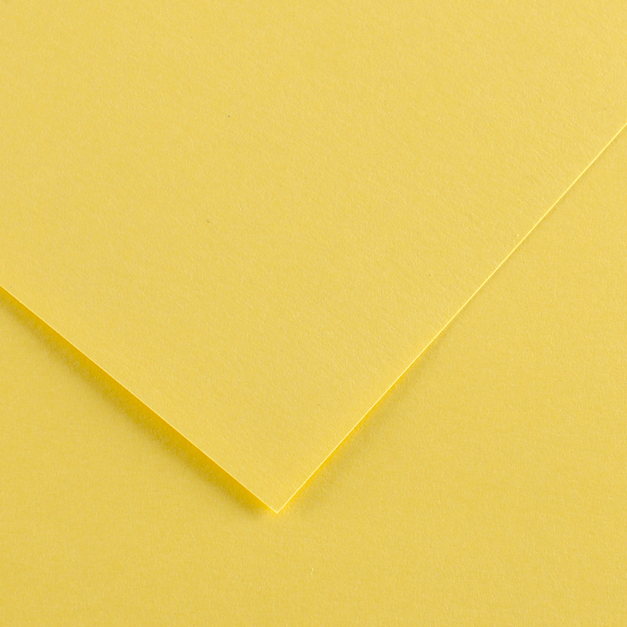Foglio Colorline - 70x100 cm - 220 gr …