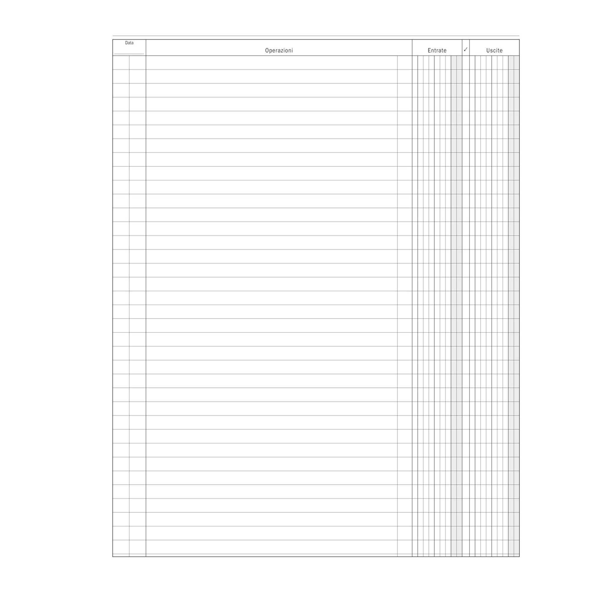 Registro Entrate-Uscite - 100 pagine - 31 x …