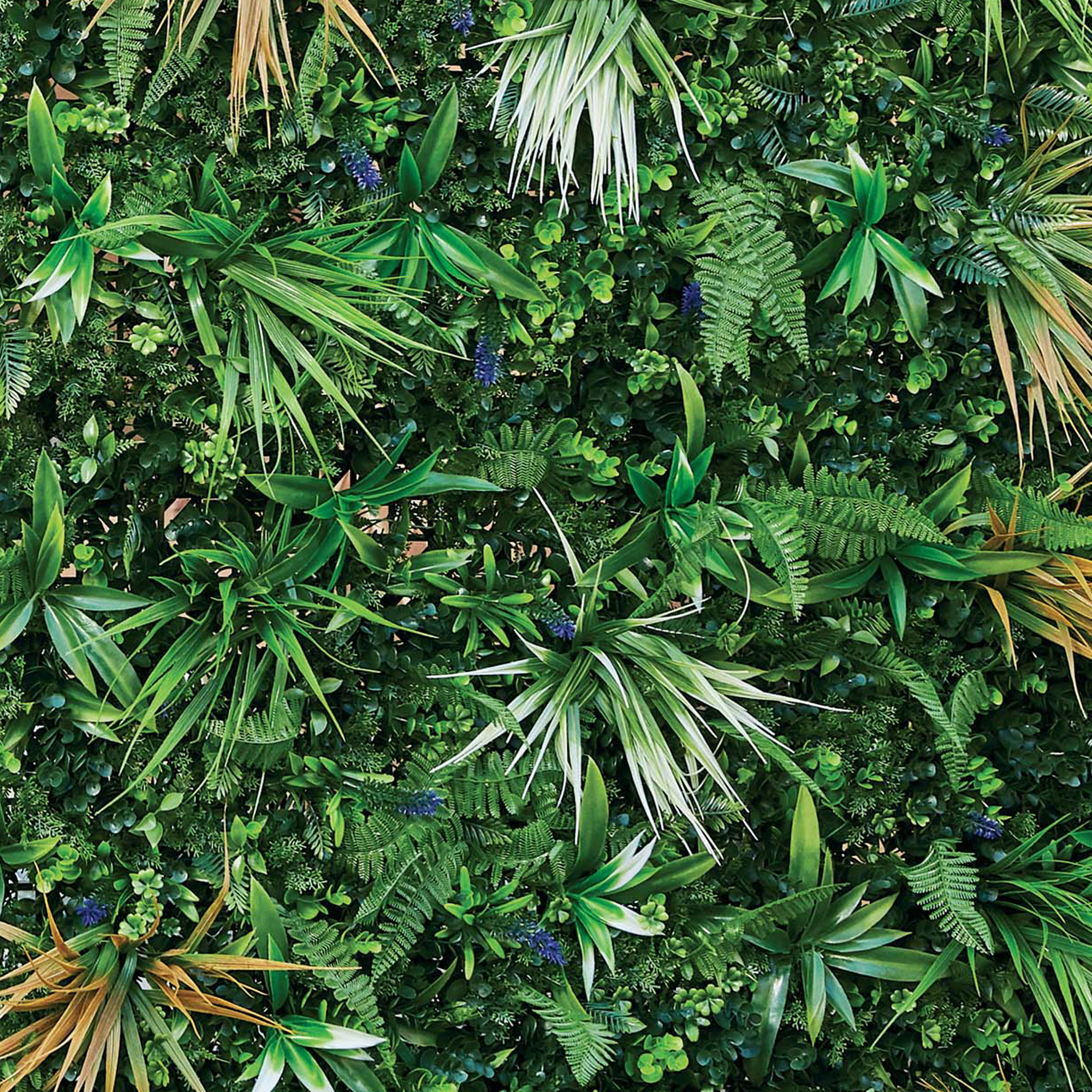 Siepe sintetica Jungle Verdecor - 0,5 x 1 …