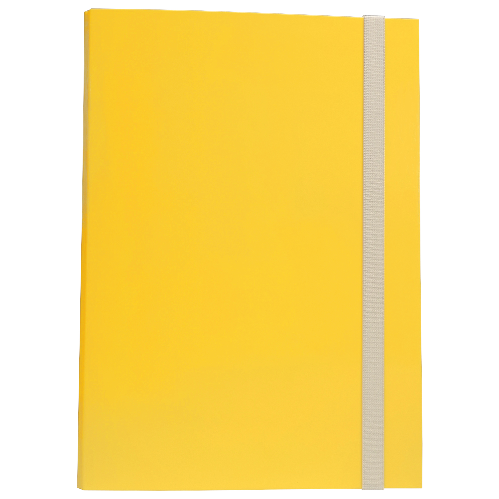 Cartella progetto - con elastico - dorso 3 …