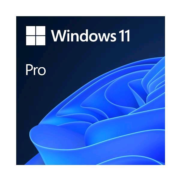 Windows 11 Pro - Licenza - 1 licenza …