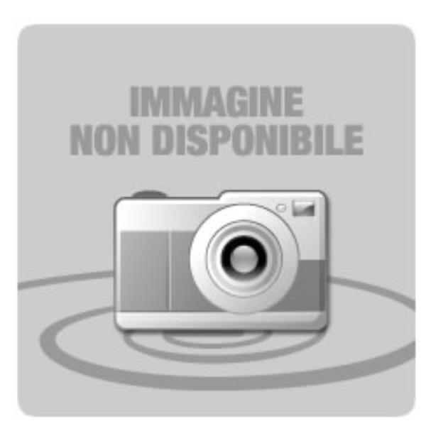 RICOH RICARICA PUNTI PINZATR A SELLA SR80