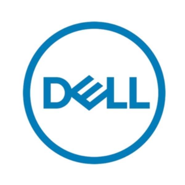 Dell - Kit Cliente - SSD - Read Intensive - 3.84 TB - hot swap - 2.5" - SATA 6Gb/s