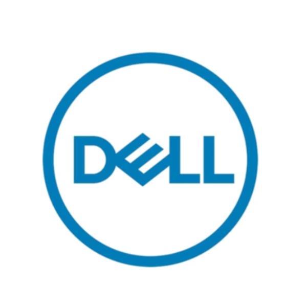 Dell - Kit Cliente - SSD - Mixed Use - 1.6 TB - hot swap - 2.5" - SAS 22.5Gb/s