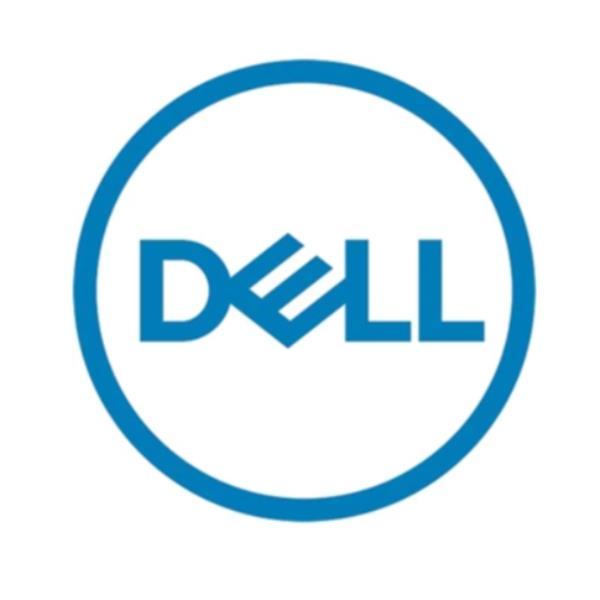 Dell - HDD - crittografato - 2.4 TB - hot swap - 2.5" (in supporto da 3,5") - SAS 12Gb/s - 10000 rpm - FIPS - Self-Encrypting Drive (SED) - per PowerEdge C6420 (2.5")