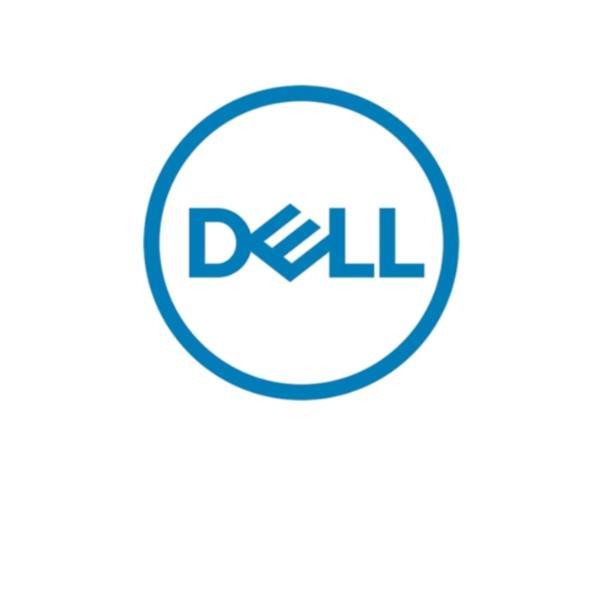Dell - SSD - 480 GB - interno - M.2 - SATA 6Gb/s - per PowerEdge R450, R550, R650, R650xs, R750XA