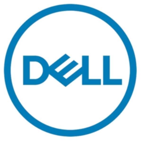 DELL TECHNOLOGIES DELL BOSS-S2 CONTROLLER CARD WIT