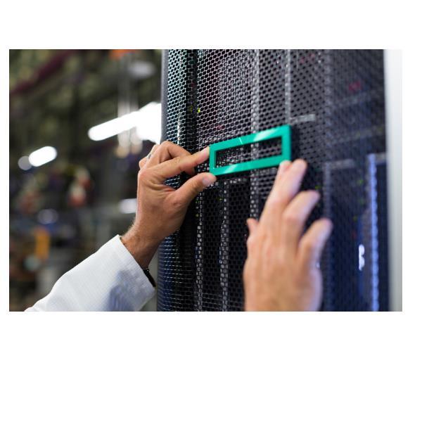 HEWLETT PACKARD ENTERPRISE HPE ML350 GEN11 NS204I-U ENABLE KIT