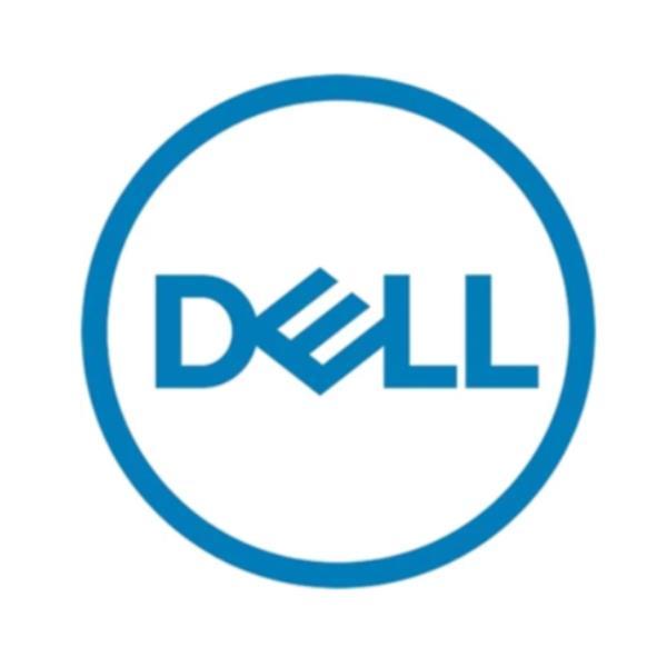 Dell - Kit Cliente - SSD - Read Intensive - 3.84 TB - with carrier - 2.5" (in supporto da 3,5") - SAS 22.5Gb/s