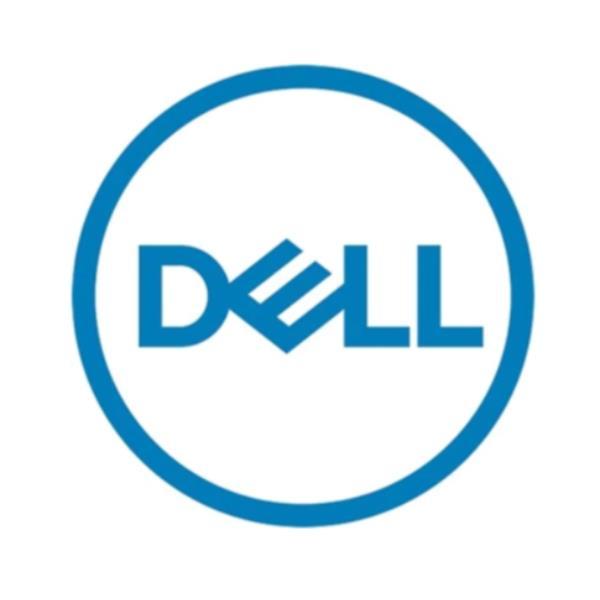 Dell - Kit Cliente - SSD - Read Intensive - 3.84 TB - hot swap - 2.5" - SAS 22.5Gb/s - per PowerEdge R340, R440, R640, R650, R6515, R6525, R740, R7425, R750, R7515, R7525, R840