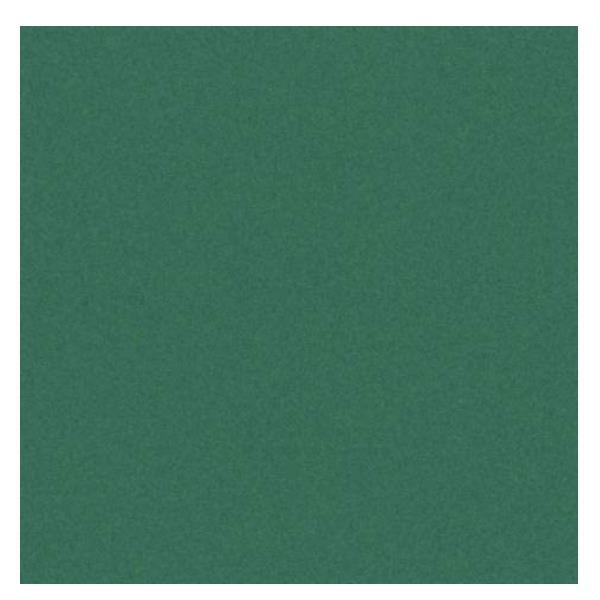 CANSON CF25FF COLORLINE 70X100 VERDE VI