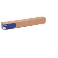 Epson - Lucido - Rotolo (43,2 cm x 30,5 m) - 250 g/m² - 1 rotoli carta fotografica - per SureColor P5000, P800, SC-P10000, P20000, P5000, P7500, P900, P9500
