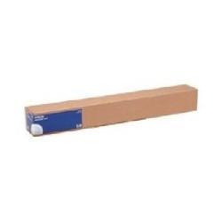 Epson Premium Glossy Photo Paper (170) - Lucido - Rotolo (41,9 cm x 30,5 cm) 1 rotoli carta fotografica - per SureColor P5000, SC-P5000, P7500, P9500, T2100, T3100, T3400, T3405, T5100, T5400, T5405