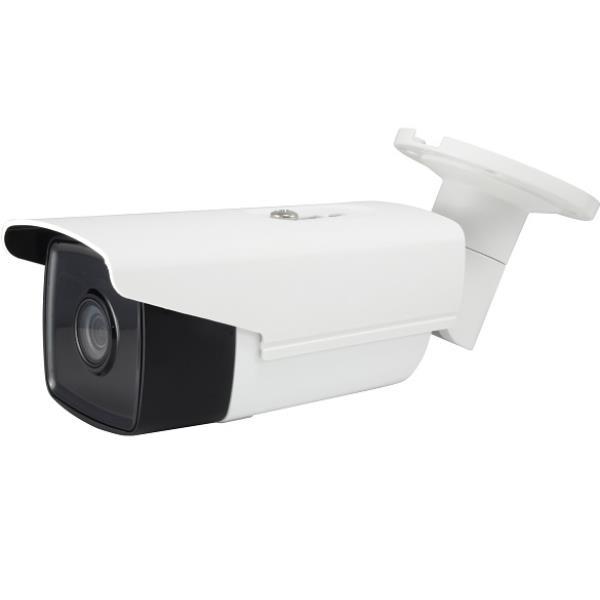LevelOne FCS-5092 - Telecamera di sorveglianza connessa in rete - per esterno - resistente alle intemperie - colore (Giorno e notte) - 5 MP - 2560 x 1656 - focale fisso - LAN 10/100 - AVI, H.264, H.265 - CC 12 V / PoE Classe 3